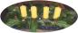 Preview: Bienenwachs Wickelkerze H12cm/DM 4,5 cm